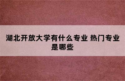 湖北开放大学有什么专业 热门专业是哪些